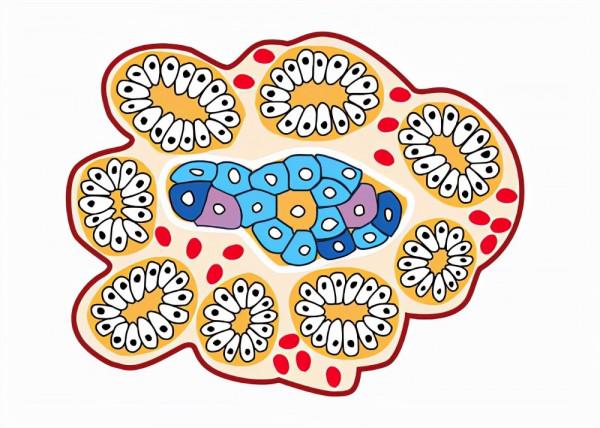 長期吃麵條對身體到底是好還是不好？醫生直言：注意3點就可以