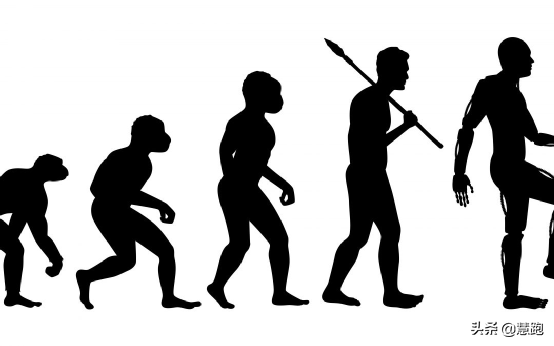最新研究:運動可以延長壽命的真正原因 最新研究:運動可以延長壽命的真正原因