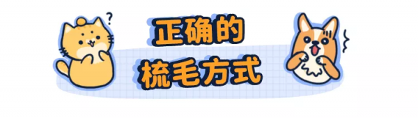 貓狗一直掉毛，兇手竟是我自己？