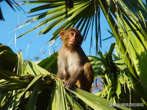 9分神片迴歸!中國人有多會吃海鮮?第一集就讓人邊流口水邊流淚 9分神片迴歸!中國人有多會吃海鮮?第一集就讓人邊流口水邊流淚