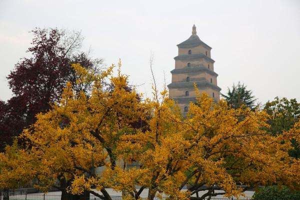 項羽為何沒有都於關中,而都於彭城?看中國古都和文化 項羽為何沒有都於關中,而都於彭城?看中國古都和文化