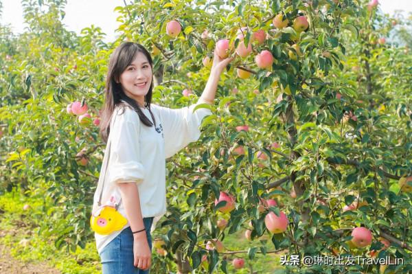 嚮往的鄉遊就在北京延慶