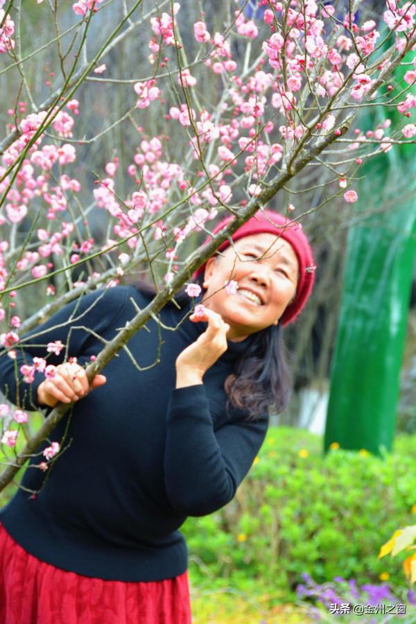 冬天的興義有多美！看看貴州醇景區盛開的梅花就知道了