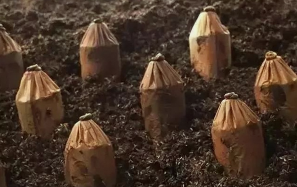 白酒要52°才最值得收藏？行家終於發話，這68°白酒“略勝一籌”