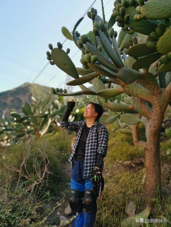 90後女生帶狗騎125踏板摩托獨闖西藏！安全嗎？車子壞了怎麼辦