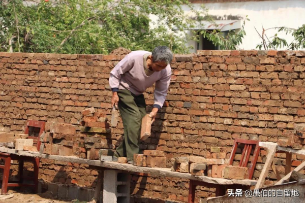 這才是真實的十月鄉村，純樸而美好，看後彷彿回了一次老家