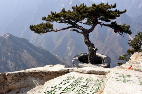 乘坐西峰索道上華山