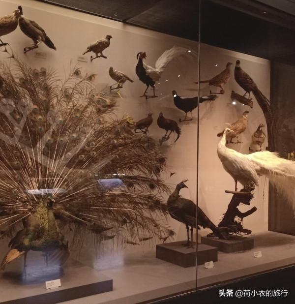 中國最值得去的10大博物館,你都去了幾個,全去過的人,太幸福了 中國最值得去的10大博物館,你都去了幾個,全去過的人,太幸福了