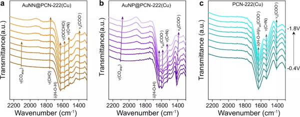 蘇大彭揚/程濤Nature子刊：Cu MOF中的Au活化N，助力CO2RR產乙烯