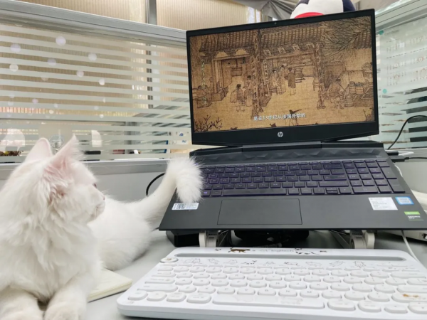 小孩淘氣，天經地義