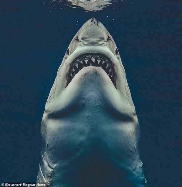 神奇的大自然讓人大開眼界 神奇的大自然讓人大開眼界