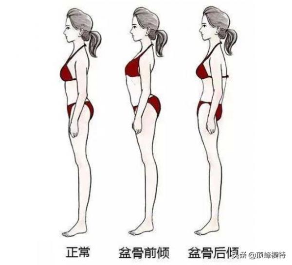 頂峰藝考｜形體禮儀應該注意的哪些問題？