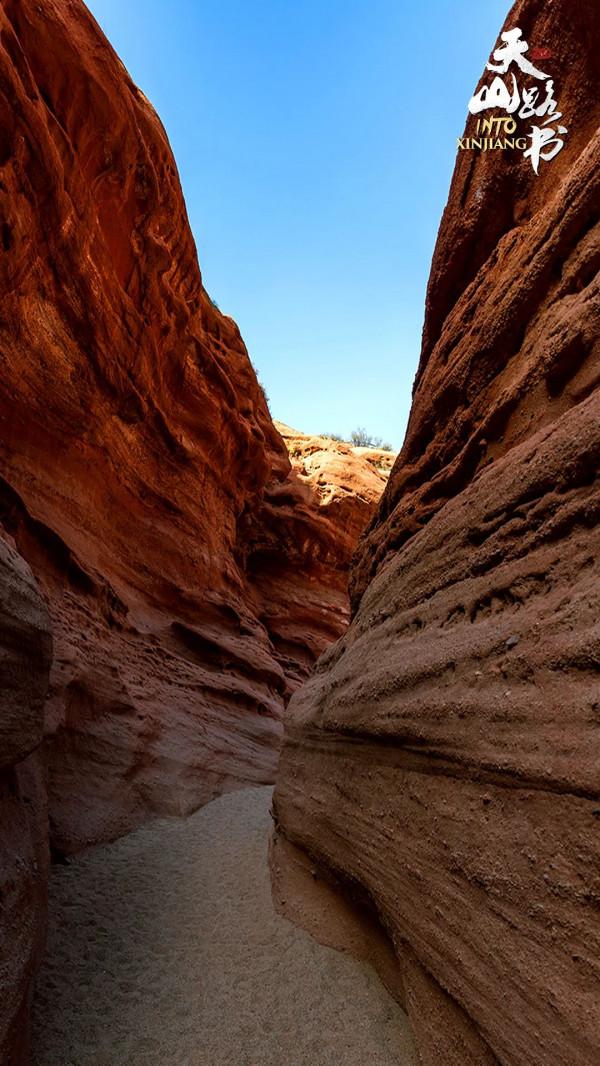 胡楊金、豐收紅、秋實橙……秋日新疆的這些色號,你pick了嗎? 胡楊金、豐收紅、秋實橙……秋日新疆的這些色號,你pick了嗎?