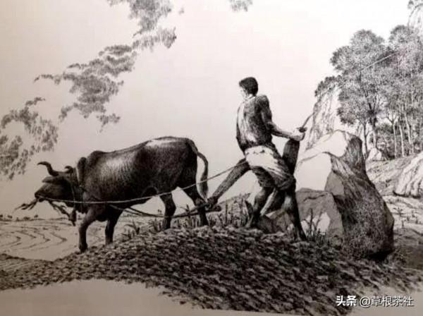 知青歲月:留守農村幾十年,故鄉的雲一直在心頭飄蕩 知青歲月:留守農村幾十年,故鄉的雲一直在心頭飄蕩