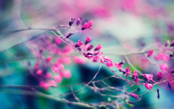 這一生，無論和誰相處，記住這幾句話