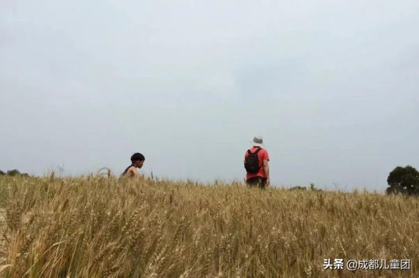 為孩子構建另一種審美可能性，她帶著娃去山裡“走野路”