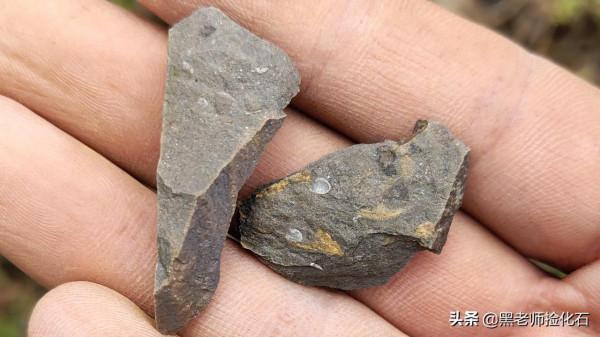 「化石探索」第12期：尋甸化石之旅（六）