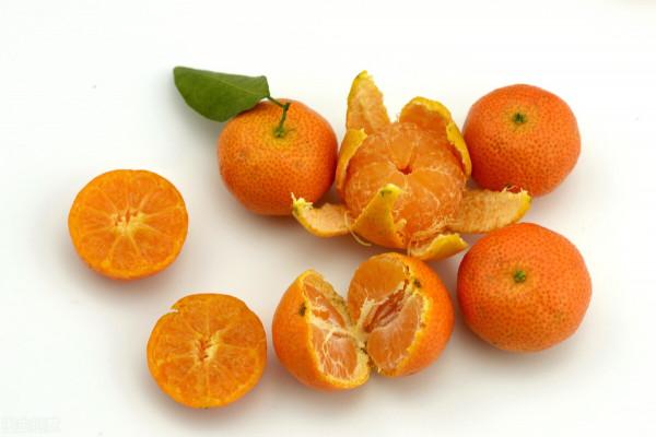 過年這些東西別浪費，養花種草好幫手