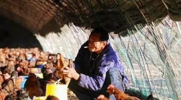 6年前,那個撿到太歲一夜暴富的遼寧農民王承德,後來創業去了 6年前,那個撿到太歲一夜暴富的遼寧農民王承德,後來創業去了