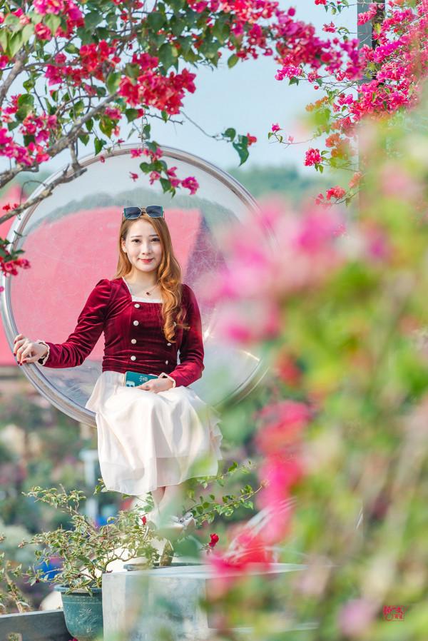 中秋將至，三角梅即將全面盛開，快來粵龍山花海世界打卡