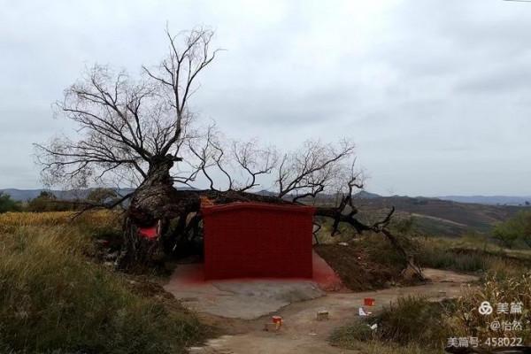 山西,讓我一次愛個夠之十七:白泥窯-滑石澗堡-老牛灣 山西,讓我一次愛個夠之十七:白泥窯-滑石澗堡-老牛灣