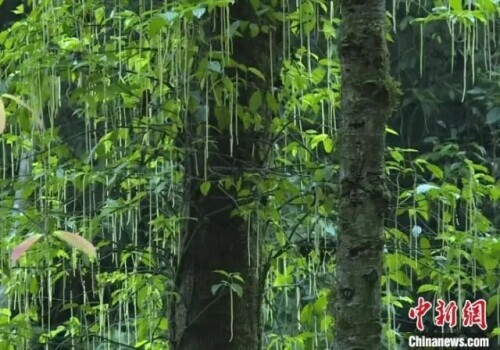 為什麼是雲南？看完我就開始查機票了……