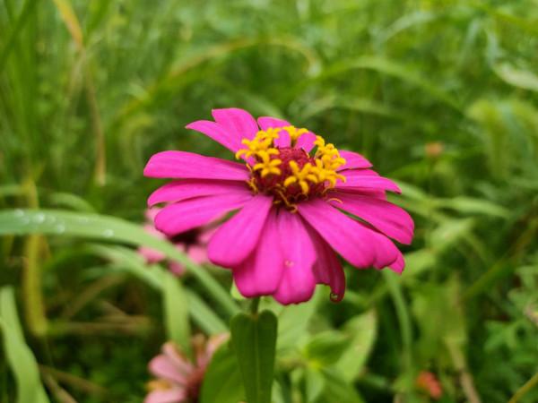 如果你是一個性格內向、優柔寡斷的人,建議你做好以下五件事 如果你是一個性格內向、優柔寡斷的人,建議你做好以下五件事