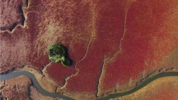 這是山東,東營! 這是山東,東營!