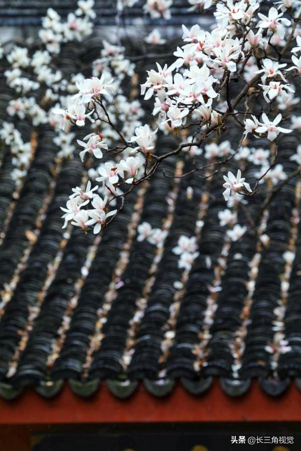 煙雨江南，水韻湖州——雪不來，聽雨也是一種心境