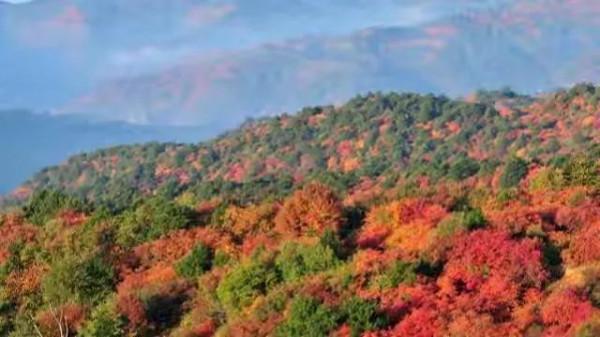 古代僅有一位詩人不悲秋，當代還有一位，他們二位究竟是誰呢？