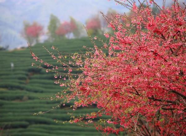 2022年旅行計劃,按著月份走,一鍵解鎖各大美景,快快收藏 2022年旅行計劃,按著月份走,一鍵解鎖各大美景,快快收藏