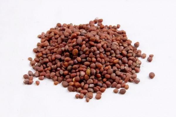 有種藥專治吃飽了撐著,詳解保和丸 有種藥專治吃飽了撐著,詳解保和丸