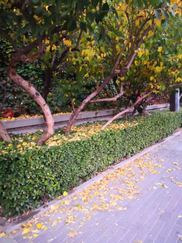 林深 （詩歌外九首）北京 張新貴