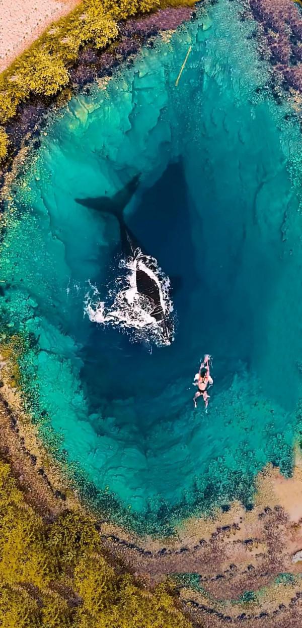 武術修為可以劃分為幾個境界 武術修為可以劃分為幾個境界