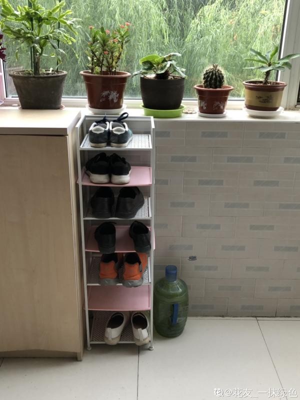 常見4種鞋子，看文章前不會清洗，看完後洗完像新的