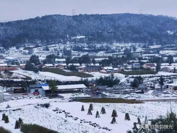 稜光丨雜談丨當孩子已經長大 稜光丨雜談丨當孩子已經長大