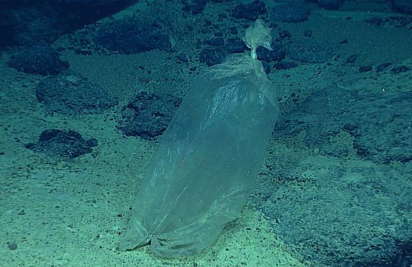 馬裡亞納海溝“鐘聲”迴盪！地球在“吞水”，海平面在下降？