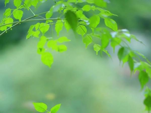 你說,水瓶座會喜歡什麼顏色? 你說,水瓶座會喜歡什麼顏色?