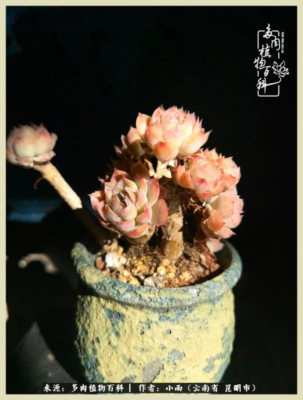 用一份熱愛，溫暖一段時光