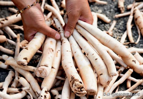 解除口乾、眼乾、鼻幹、面板乾的煩惱,百合固金丸,從頭潤到腳 解除口乾、眼乾、鼻幹、面板乾的煩惱,百合固金丸,從頭潤到腳