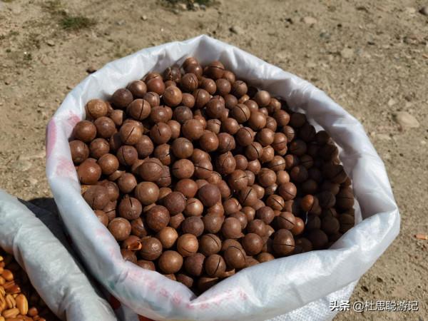 漢EV自駕新疆伊犁,動能回收高達40千瓦的坡,你見過沒有 漢EV自駕新疆伊犁,動能回收高達40千瓦的坡,你見過沒有