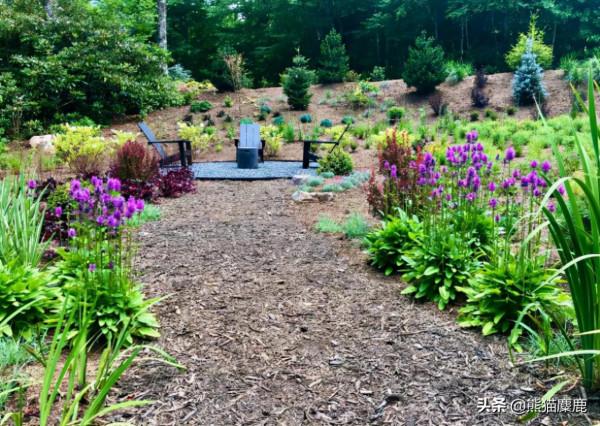 2021年最受歡迎的10個庭院之旅