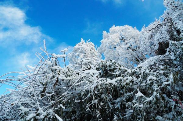 在家觀冬奧 聯想冰雪記憶