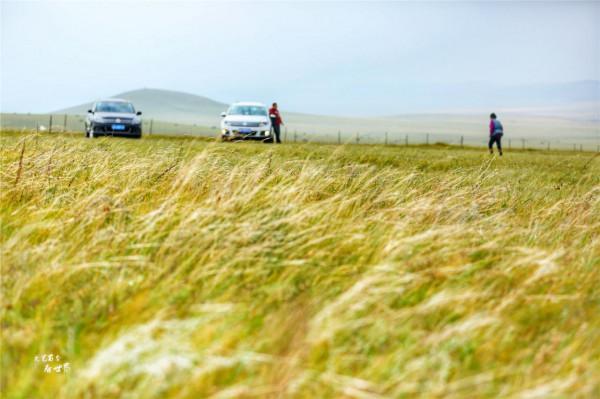 我為何會建議在秋天去呼倫貝爾大草原看看？因為它會變成一幅油畫