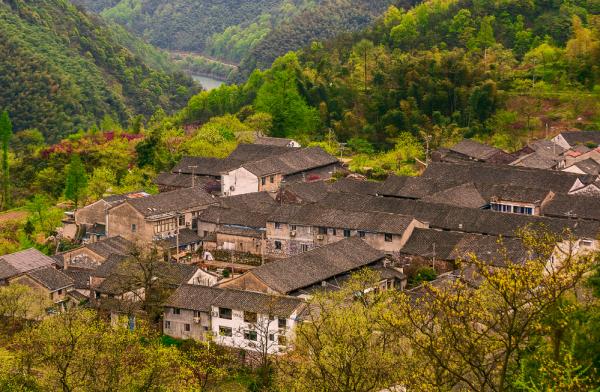 “啃老”的生活真的好嗎？日本骨灰級啃老族：把人間啃成地獄