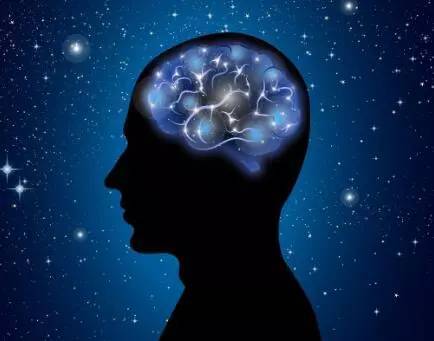 人腦重量會變輕!大腦功能“用進廢退”,老年人更要勤用腦 人腦重量會變輕!大腦功能“用進廢退”,老年人更要勤用腦