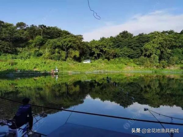 金花地推薦釣場--王子釣魚場（大物塘）