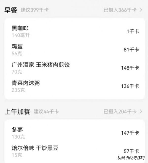 團寵加班狐狸的日常減肥之第四天 團寵加班狐狸的日常減肥之第四天