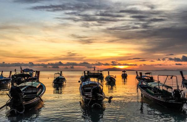 暹羅的精靈——泰國擼貓之旅