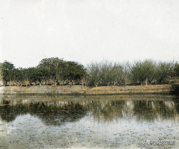 浙江杭州：1931年的塘棲古鎮舊影，來自90年前的江南水鄉風情